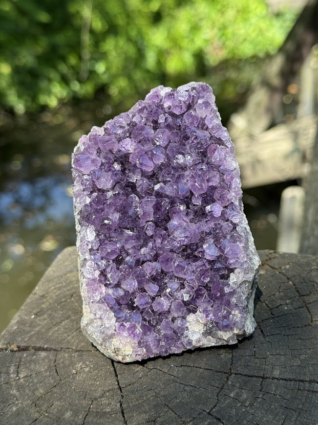 Ametyst drúza 464 g