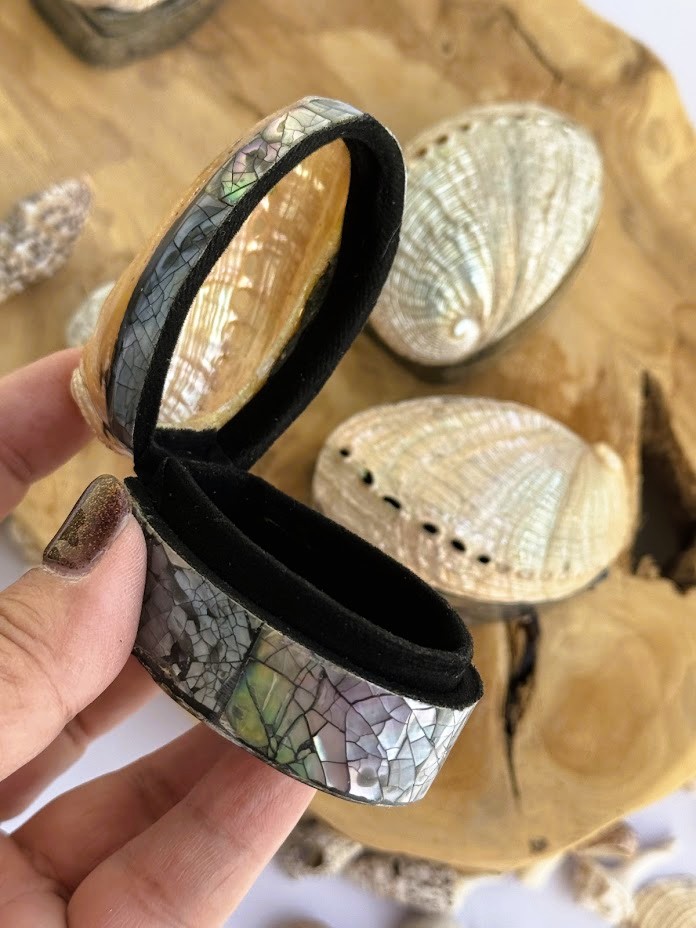 Abalone Paua - krabička na šperky