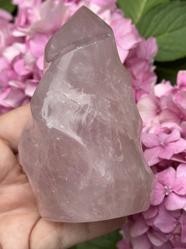 Ruženín plameň 579g
