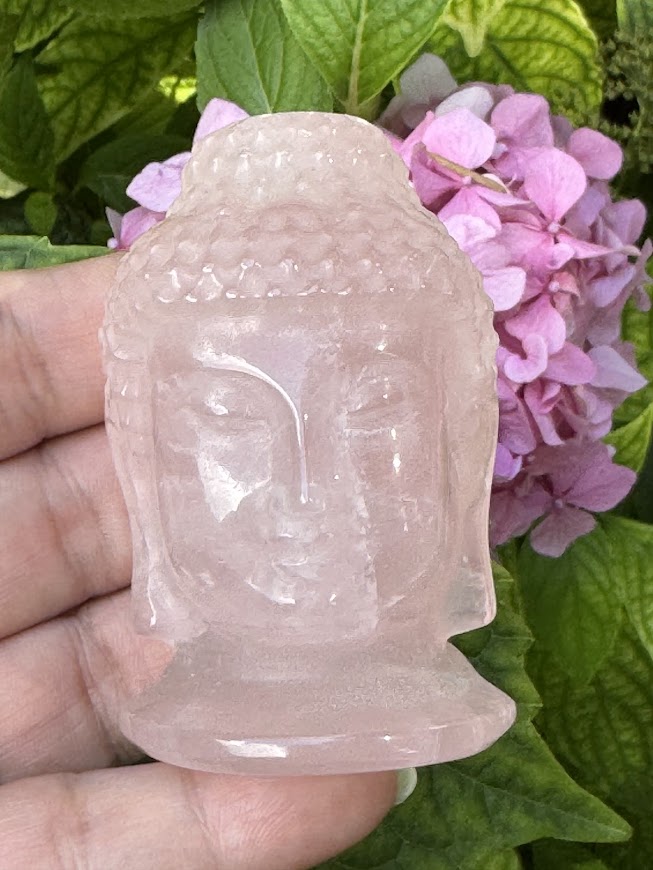 Ruženín Budha