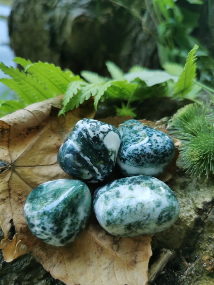 Achát stromčekový - Amulet pre šťastie -extra výber